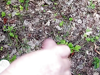 A Friend Sucks My Dick In A Public Park And Swallows Cum