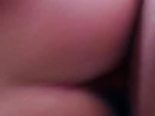 Amateur Ii