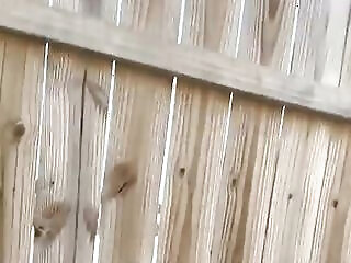 Playing In The Snow