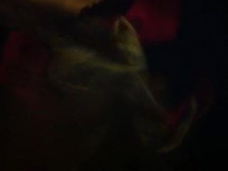 My Sister Friends Panties