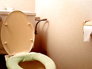Various Toilet Scenes, Including Public Toilets