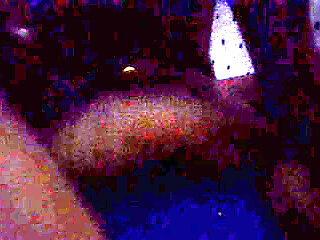 Watch Me Fuck Girl Doggystyle Big Ass