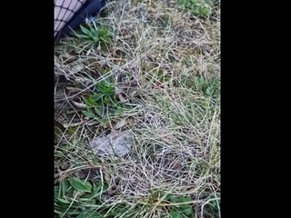 Amateur GF Ass Fingered Outdoors
